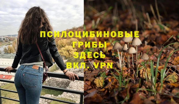 тгк Арсеньев