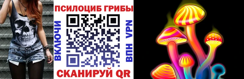 kraken ссылки  Валдай  Псилоцибиновые грибы MAGIC MUSHROOMS 